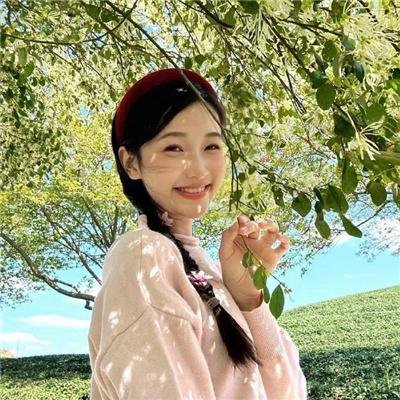 丢羊